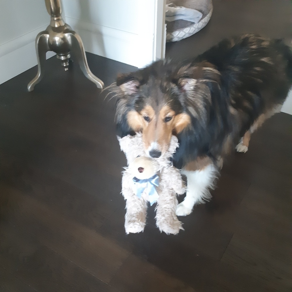 Meet your Posher, Anu